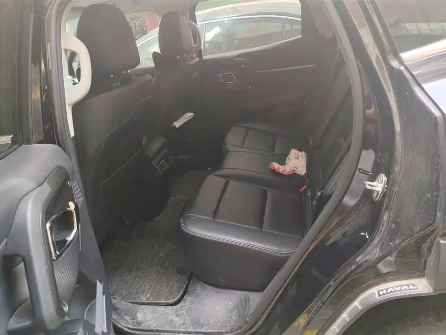 HAVAL SECOND GENERATION BIG DOG NEW ENERGY