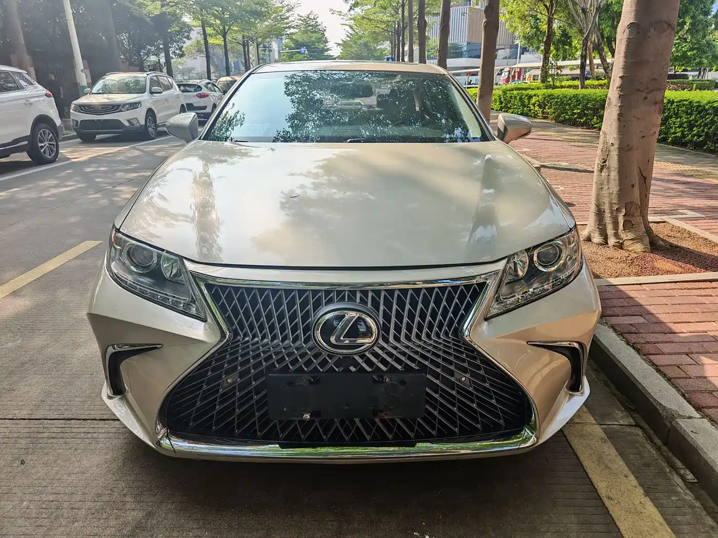 Lexus ES 2013 250 Elite Edition фото 2