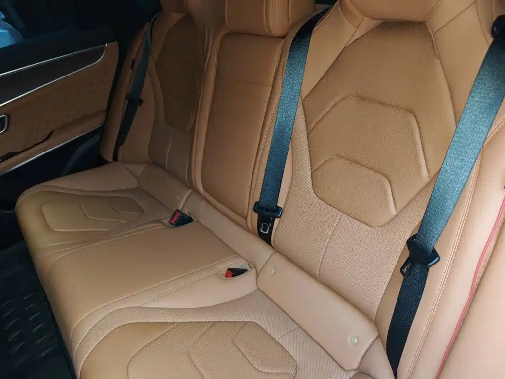 BYD Han 2022 DM-i 121KM Premium Edition фото 15