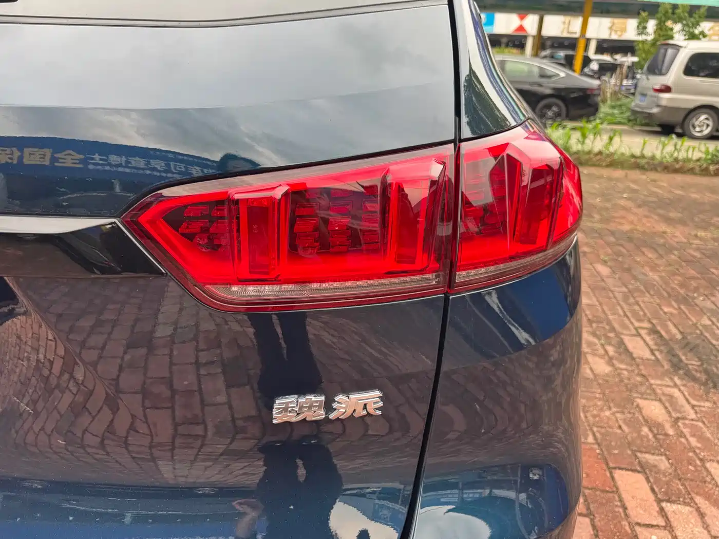 WEI PAI WEI BRAND VV7