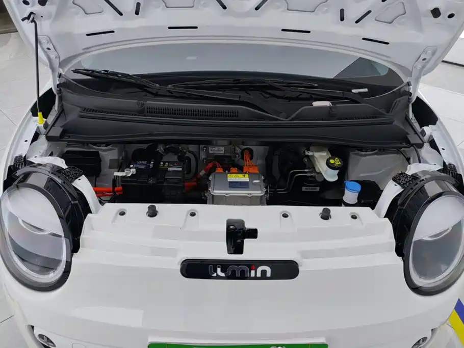 Changan Qiyuan Changan Lumin 2026 2026 Model 205km Treasure Edition