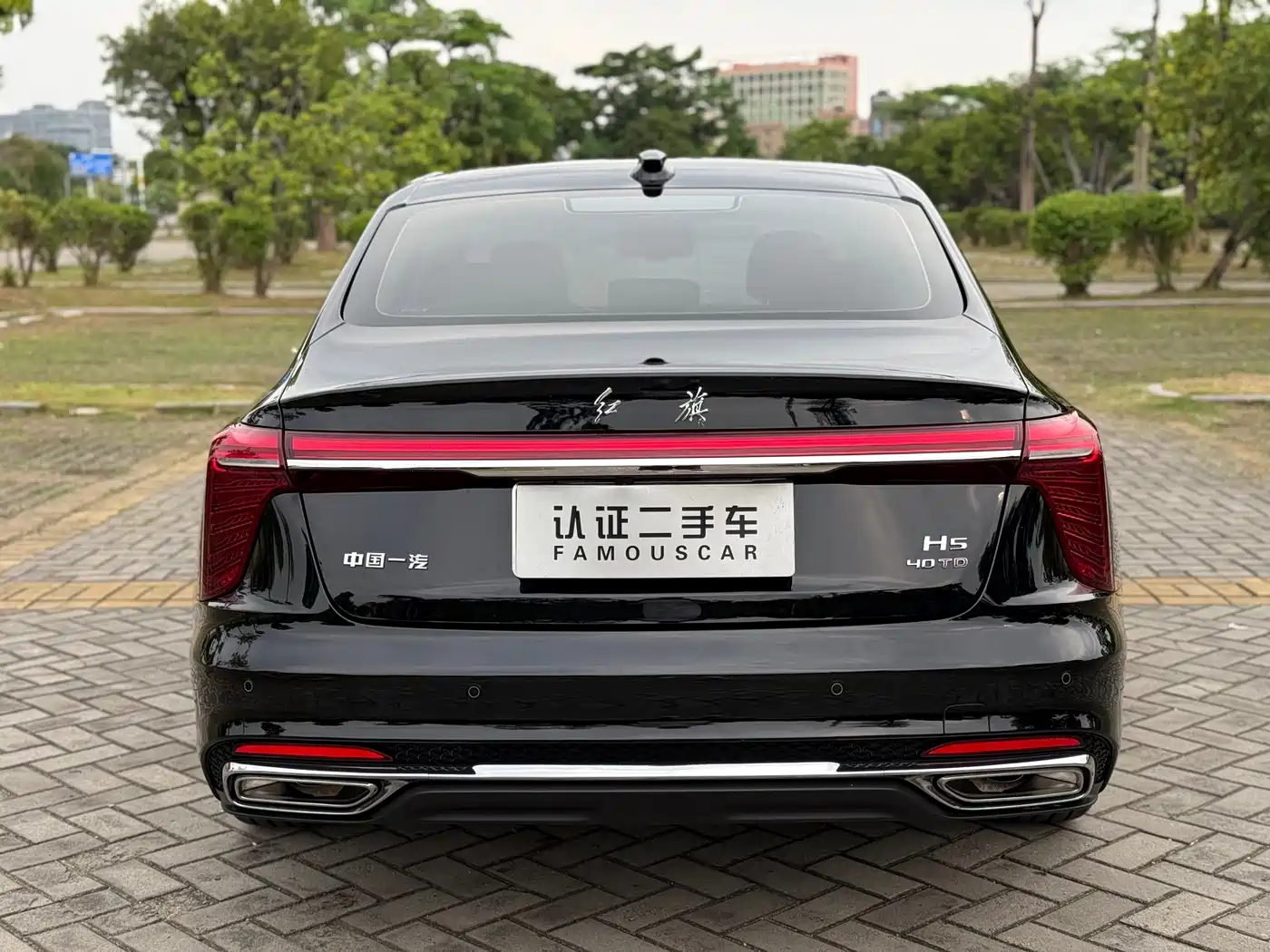 Hongqi H5 2025 2.0T Automatic Flag Celebration 500,000 Units Anniversary Edition фото 22
