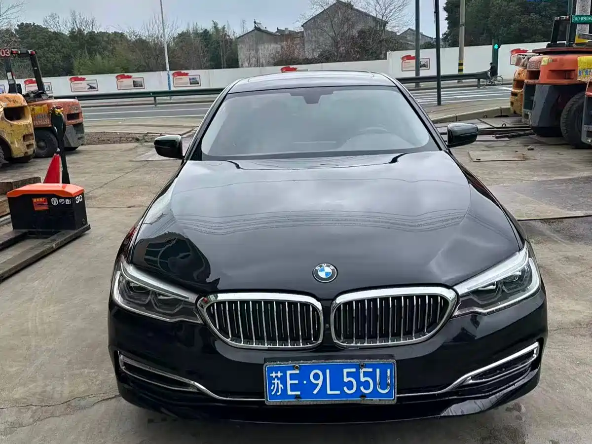 BMW 5 Series 2020 530Li Leading Luxury Package фото 2