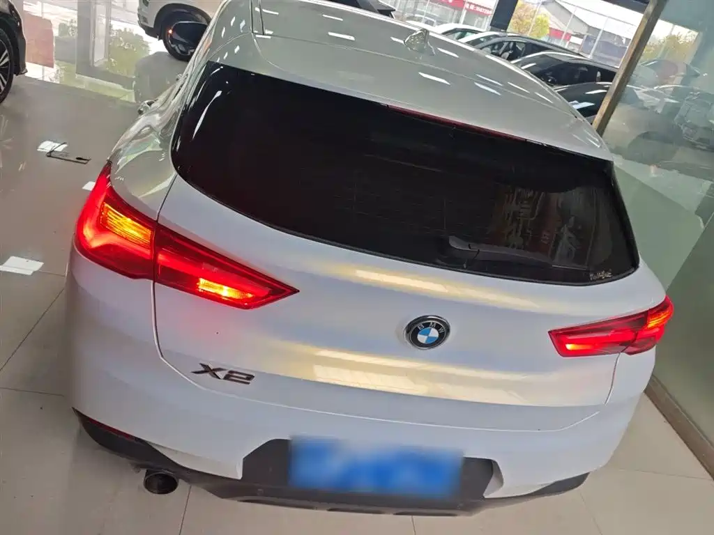 BMW X2 (Import) 2019 sDrive20i M Off-Road Package China VI фото 4