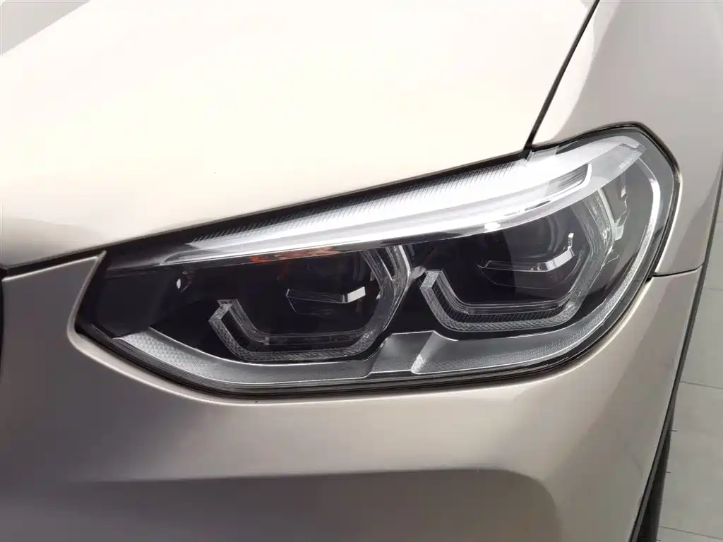 BMW X3 2019 xDrive25i Luxury Package фото 7