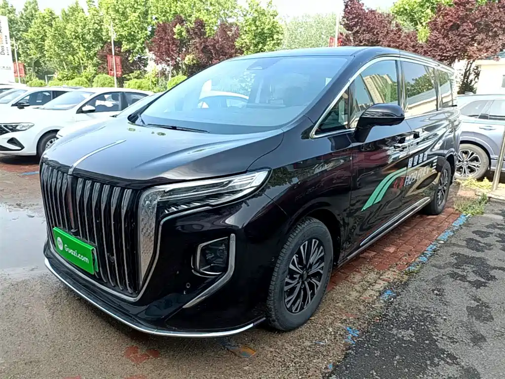 Hongqi HQ9 PHEV 2024 Model 2.0T AWD Luxury Edition фото 2