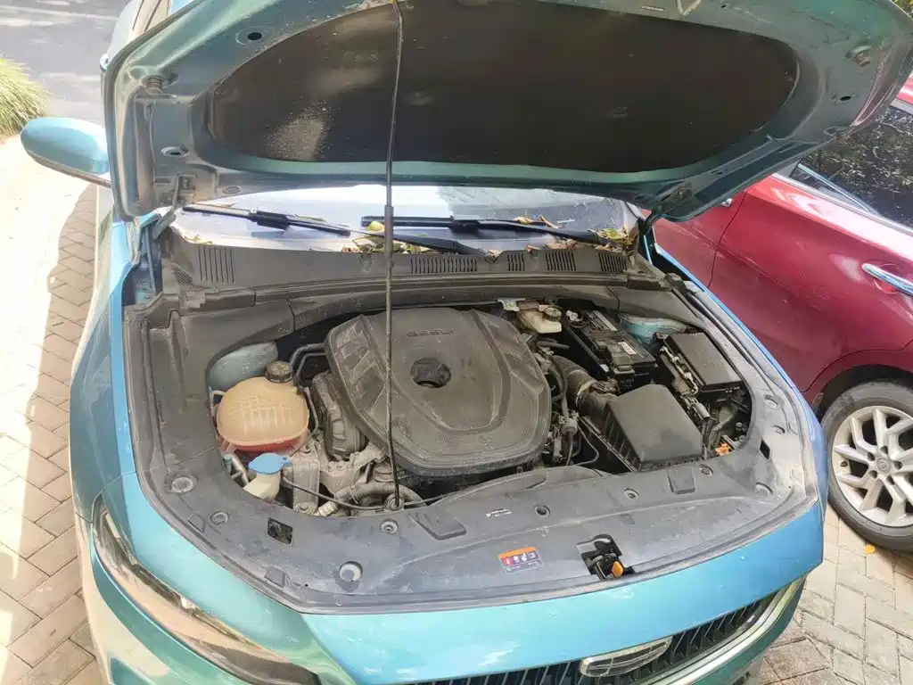 Geely Xing Rui 2020 2021 2.0TD Luxury