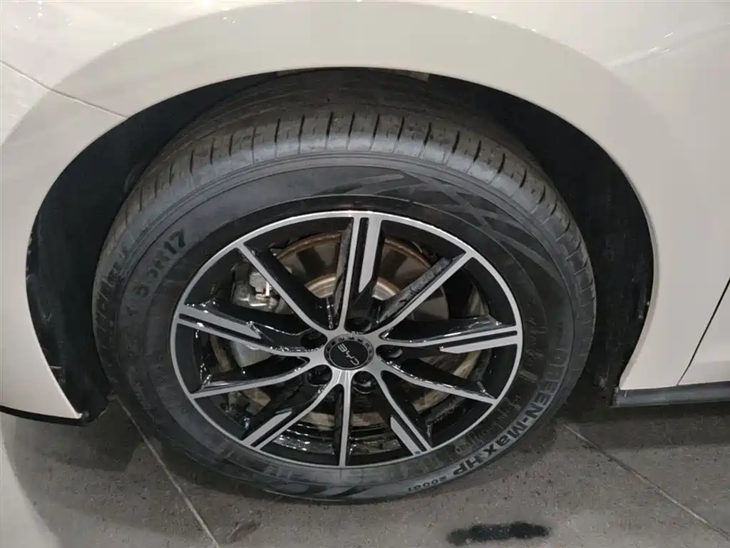 BYD Seal 06 New Energy 2024 DM-i 120KM Premium фото 22