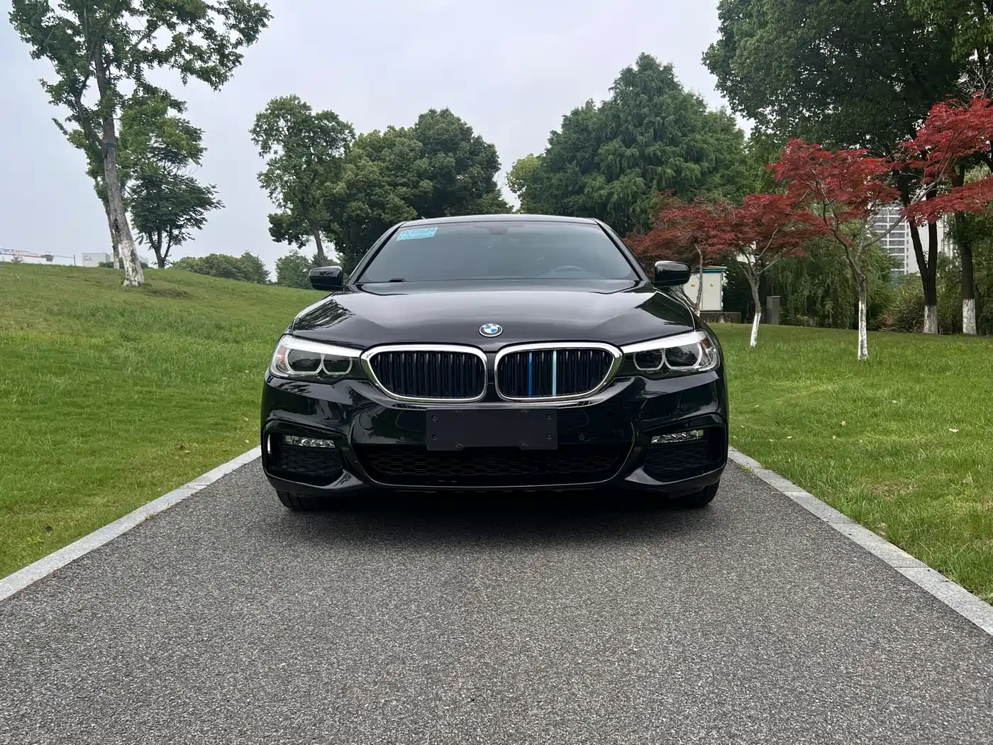 BMW 5 Series 2018 Facelift 530Li Leading M Sport Package фото 2