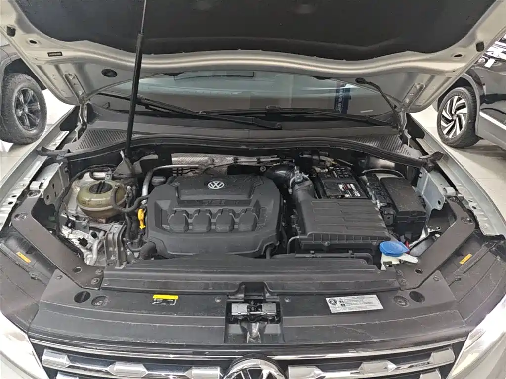 Volkswagen Tiguan L 2019 Facelift 330TSI Auto 2WD Panorama Comfort China VI фото 20
