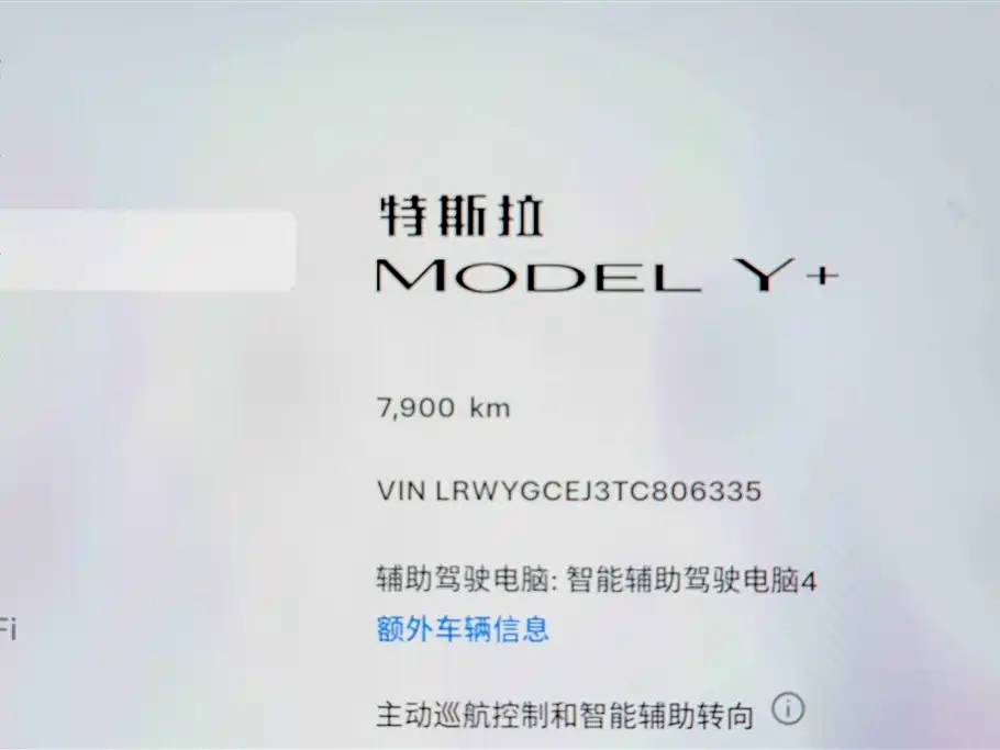 Tesla Model Y, миниатюра 11