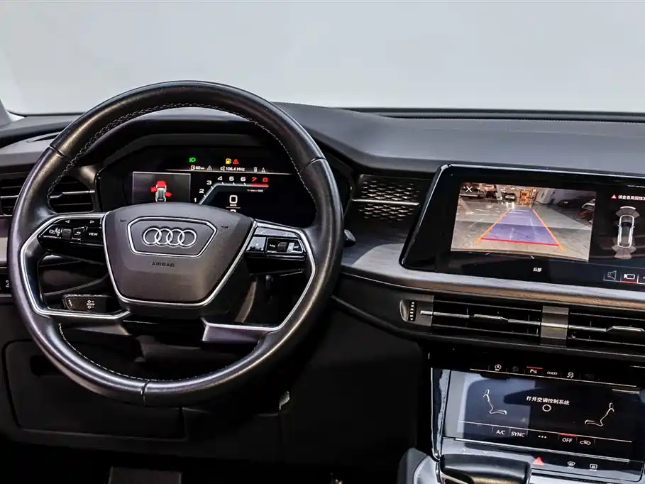 Audi Q6 2024 40 TFSI quattro Cloud View Yulin Package 7-seater фото 30