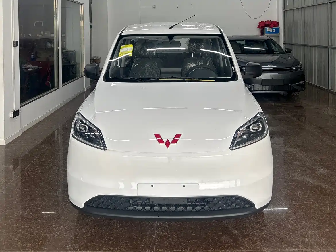 Wuling Motors Wuling Hongguang New Energy 2024 Pure Electric 300KM Standard