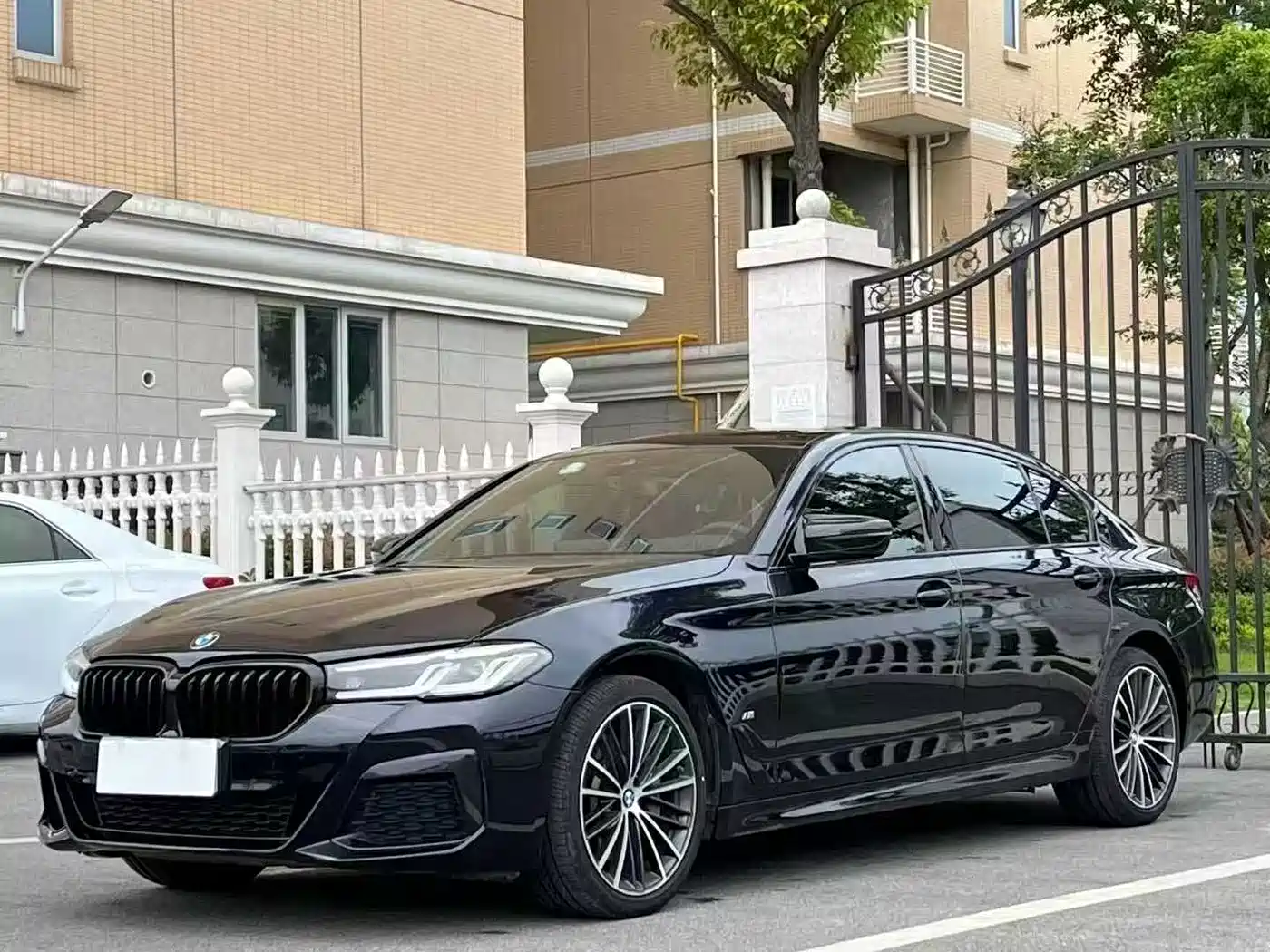 BMW 5 Series 2021 530Li Leading M Sport Package