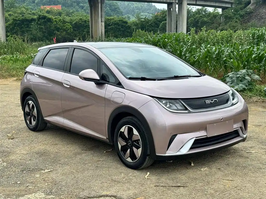 BYD Dolphin 2025 420km Fashion Edition фото 3