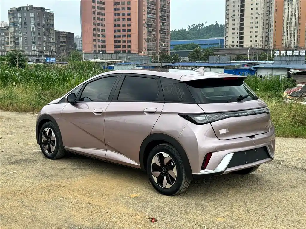 BYD Dolphin 2025 420km Fashion Edition фото 6