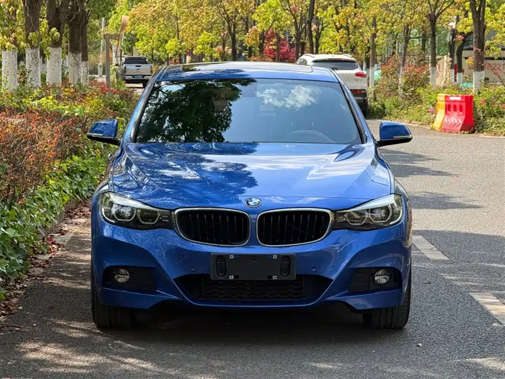BMW 3 Series GT 2020 320i M Sport Package фото 8