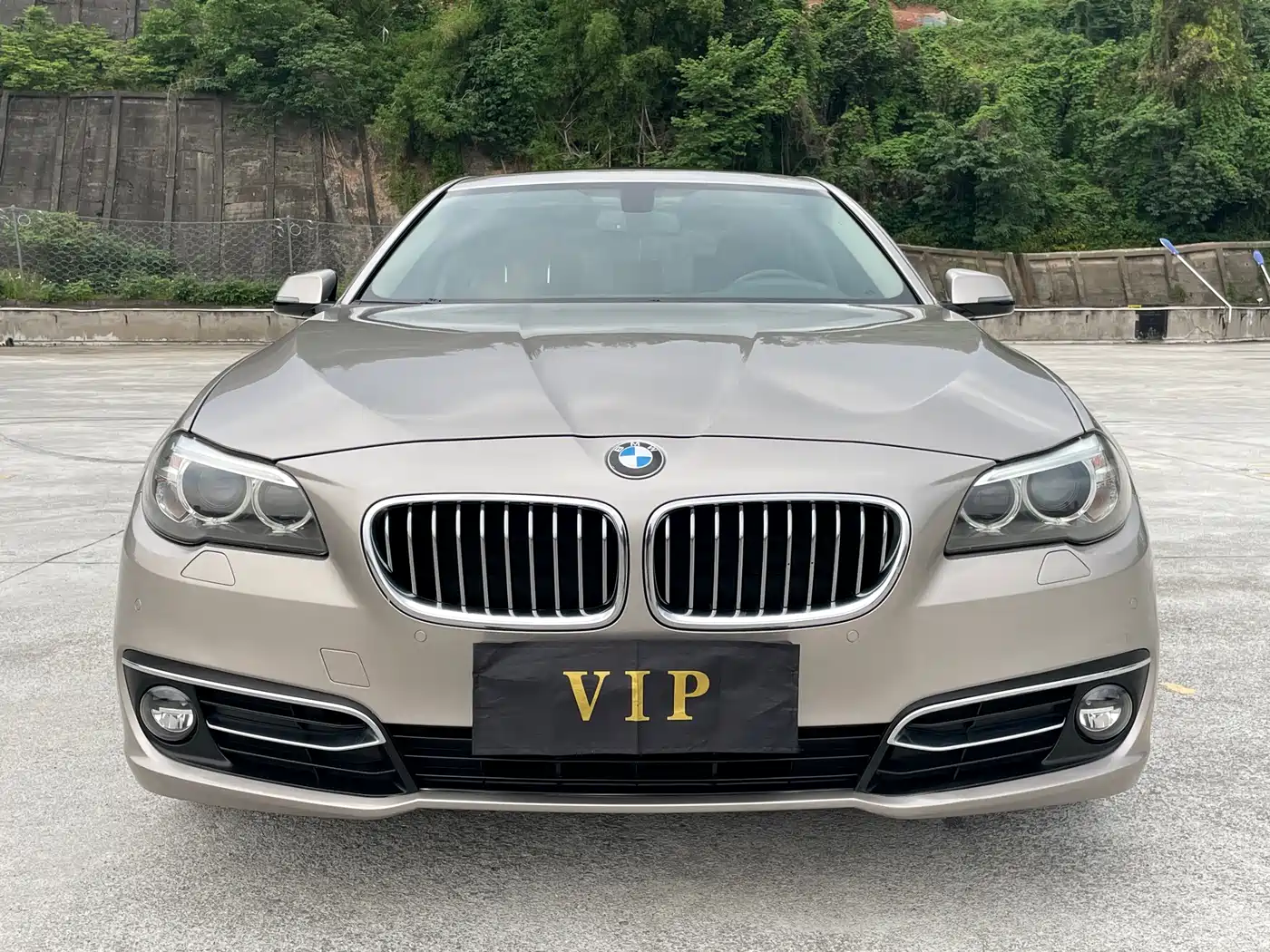 BMW 5 Series 2014 525Li Luxury Design Package фото 2