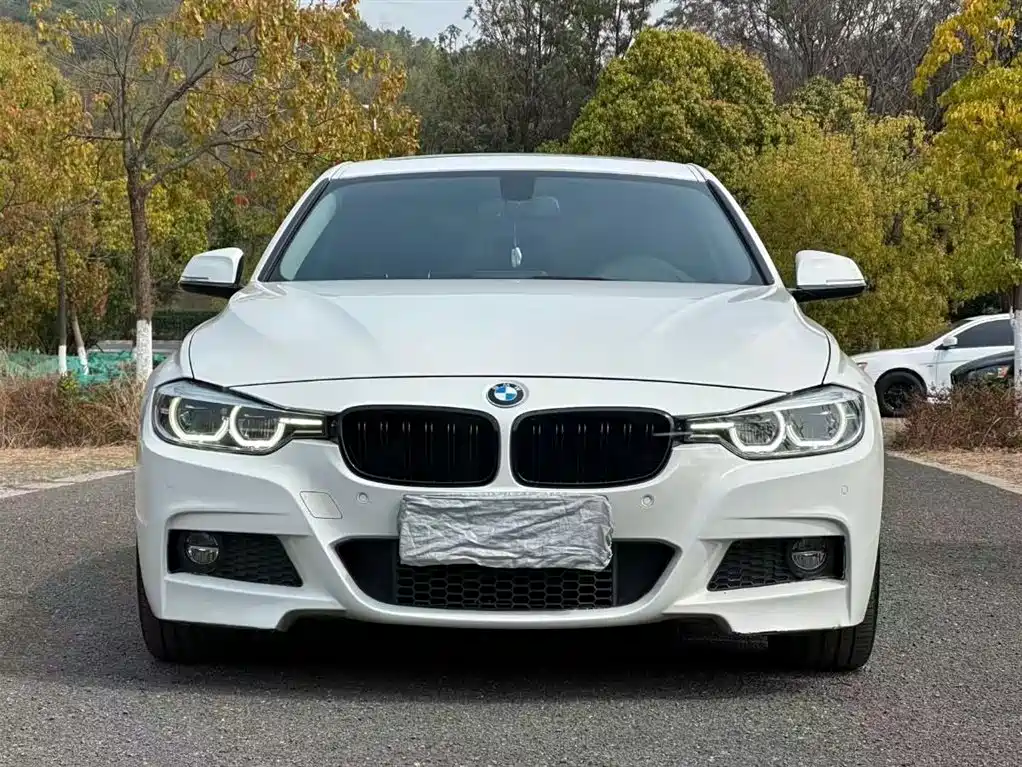 BMW 3 Series 2017 320Li M Sport фото 2