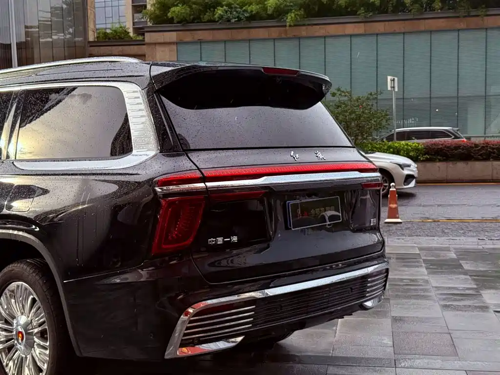 Hongqi HONGQI GUOYAO