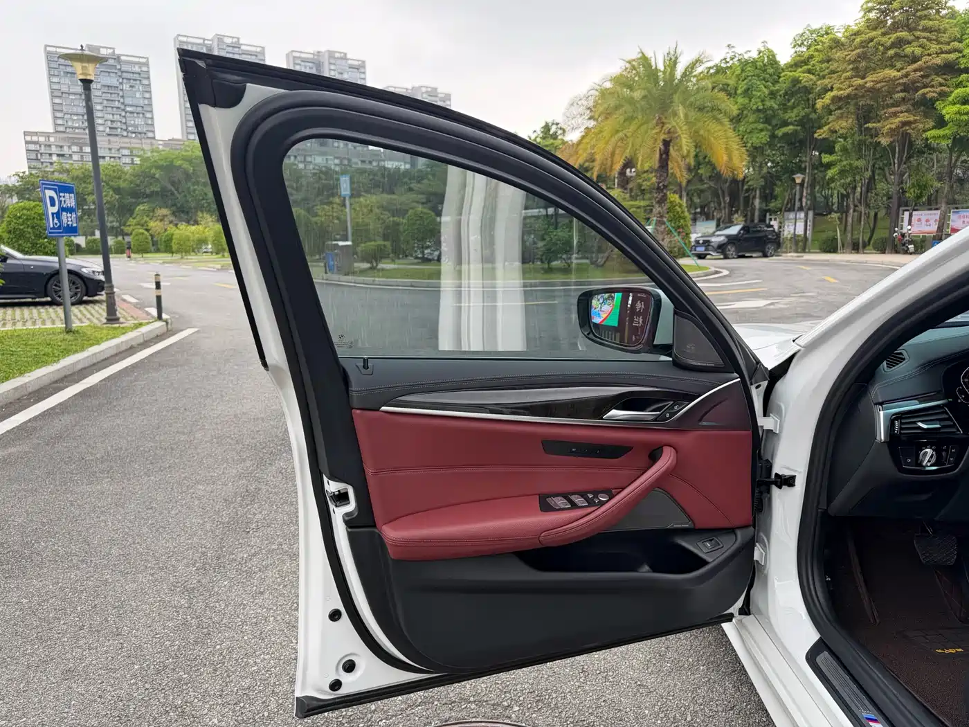 BMW 5 Series 2020 530Li Leading M Sport Package фото 17