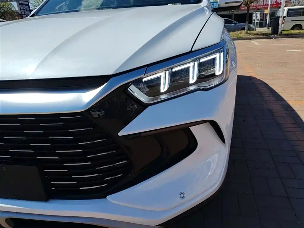 BYD Song Pro New Energy 2024 Glory Edition DM-i 71KM Pilot фото 24
