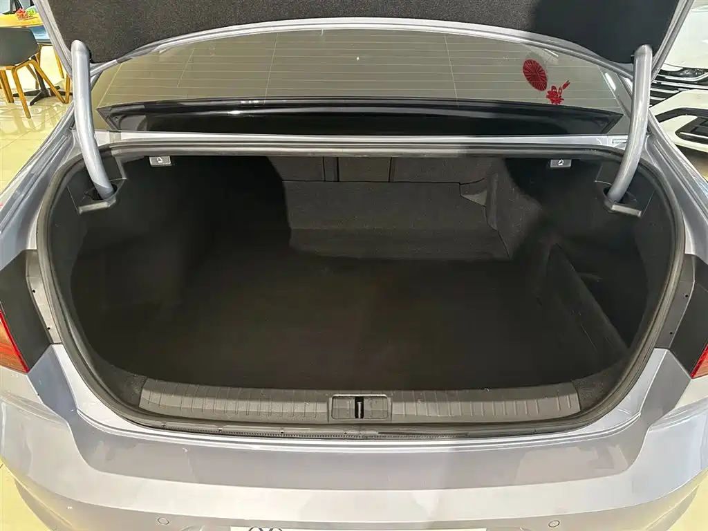 Volkswagen Magotan 2020 330TSI DSG Luxury фото 34