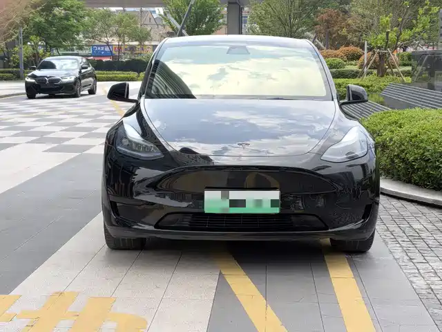 Tesla Model Y Задний привод