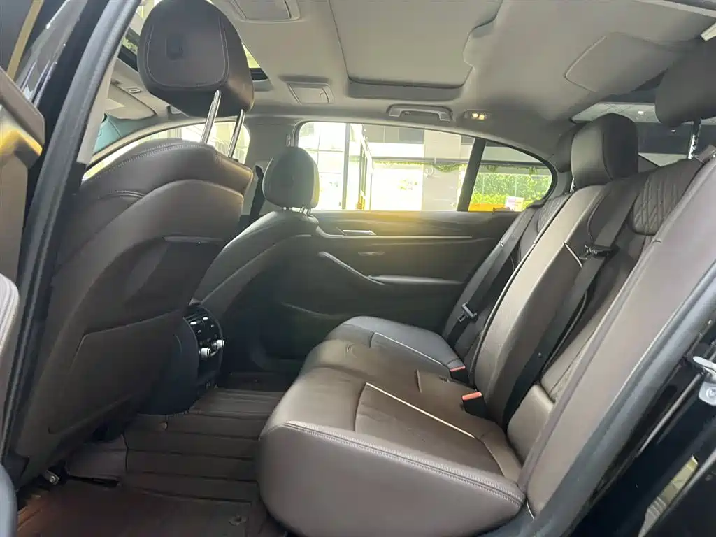 BMW 5 Series 2021 530Li xDrive Luxury Package фото 14