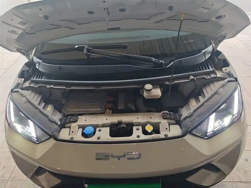 BYD Seagull 2023 Vitality Edition фото 20