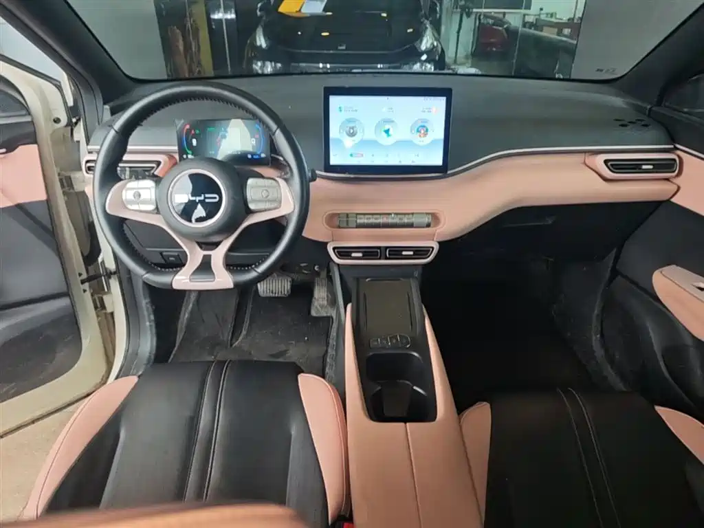 BYD Seagull 2023 Vitality Edition фото 10
