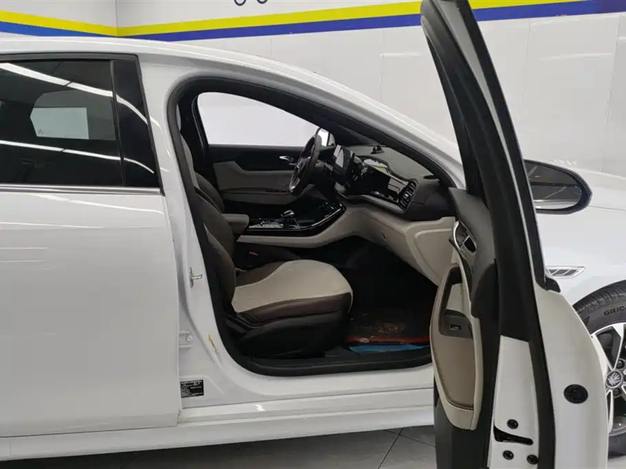 BYD Qin PLUS 2024 Glory Edition DM-i 55KM Leading фото 8