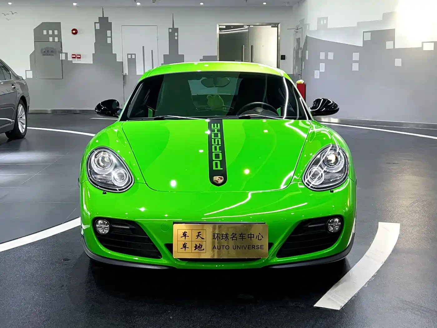 Porsche Cayman 2009 Cayman 2.9L фото 2