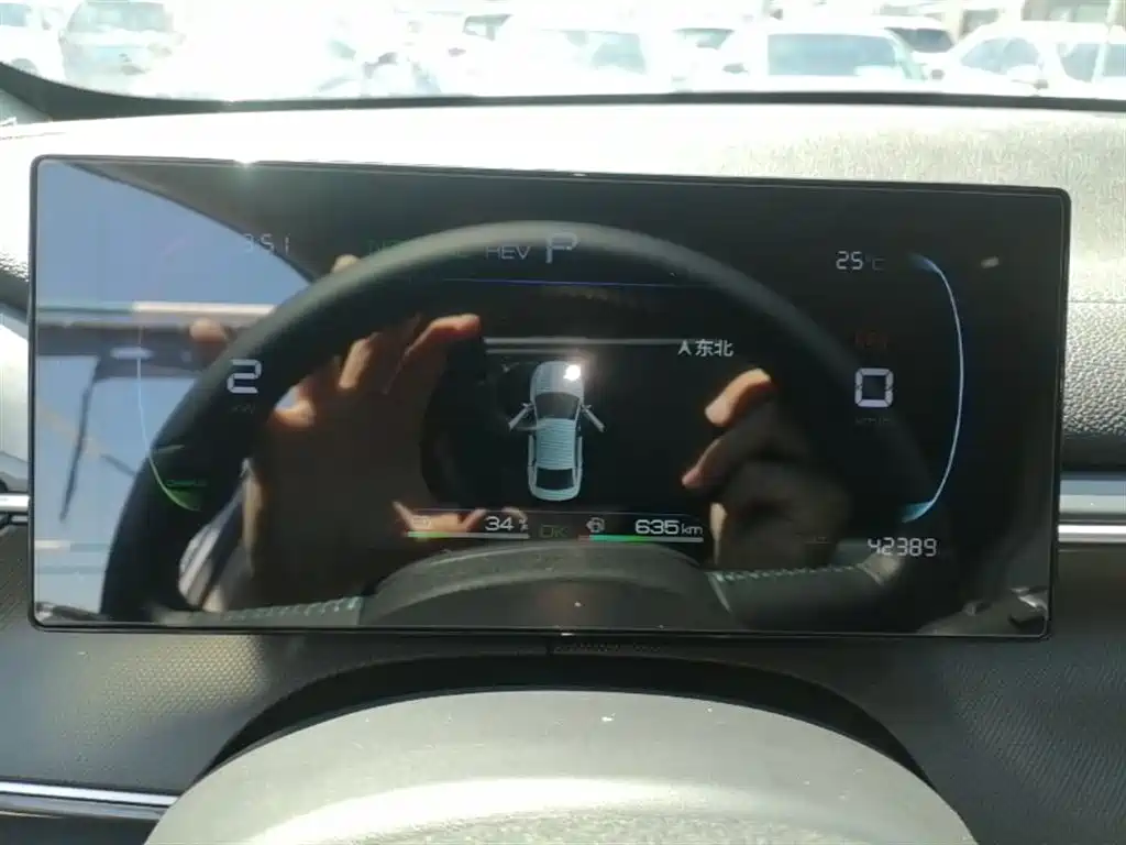 BYD Destroyer 05 2024 Glory Edition DM-i 55KM Luxury фото 12