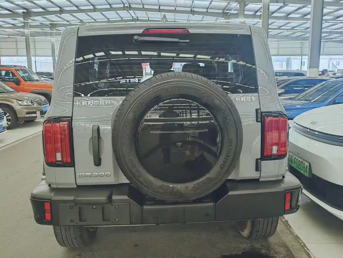 Tank 300 2023 Off-Road Edition 2.0T Conqueror фото 11