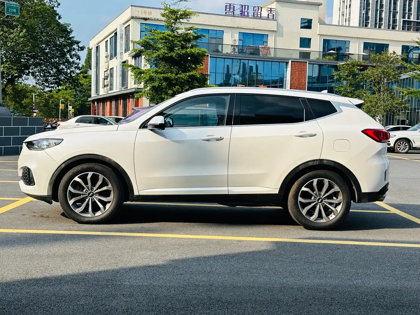 WEY VV6 2019 2018 2.0T 4WD Flagship China V