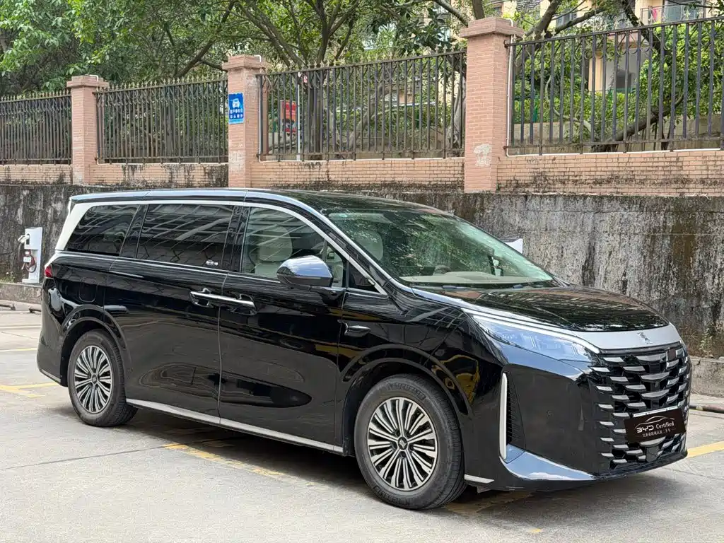 Фото 3 - BYD Xia