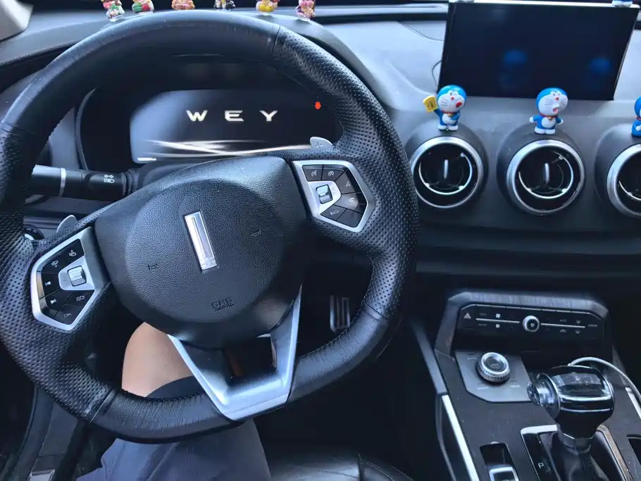 WEY P8 2019 2018 2.0T Flagship Model