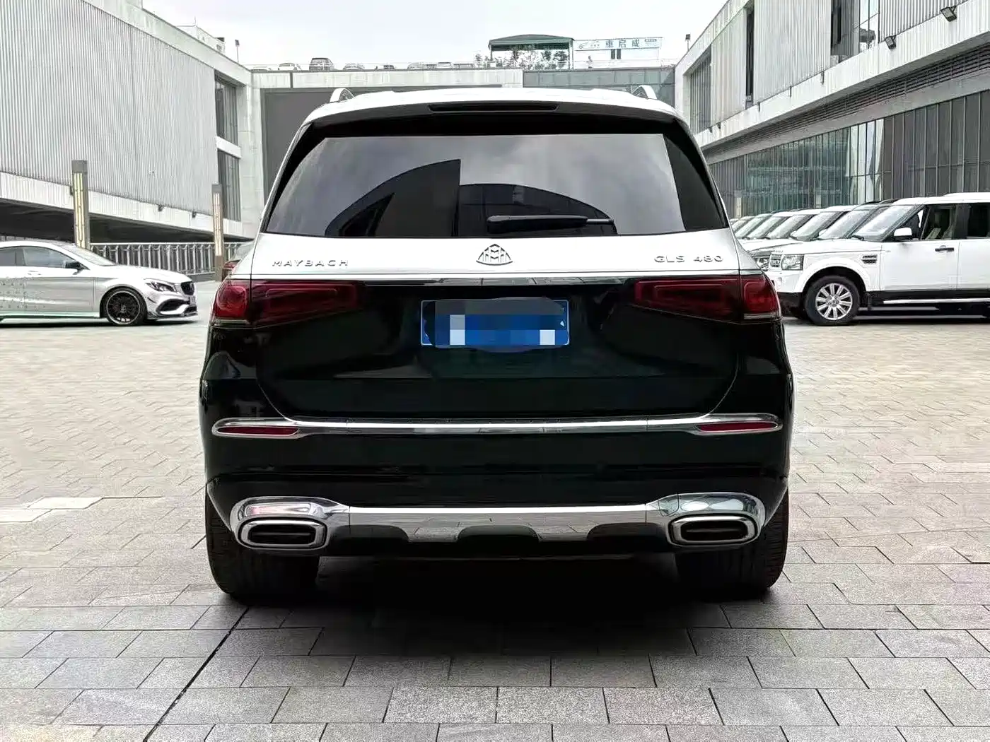 Mercedes-Benz Maybach GLS 2021 GLS 480 4MATIC фото 8