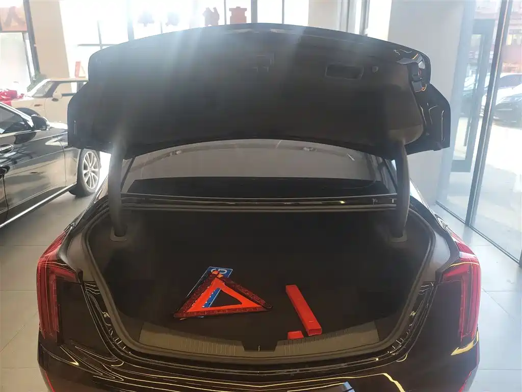 Cadillac CT5 2022 28T Luxury (Standard) фото 19