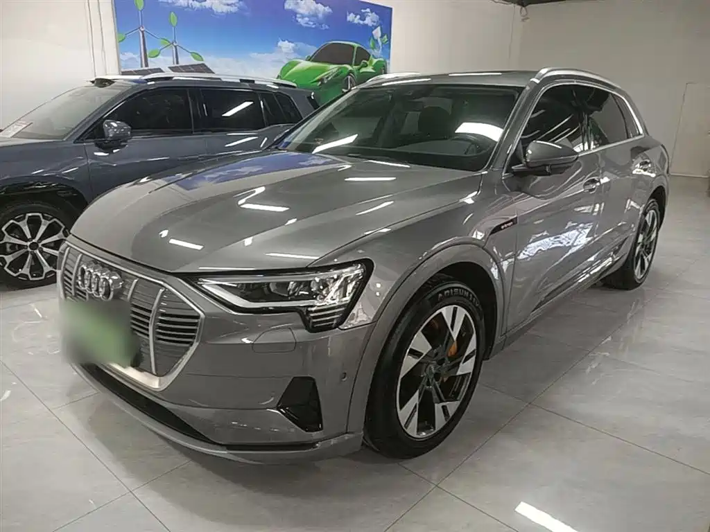 Audi e-tron (Import) 2019 55 quattro Technology