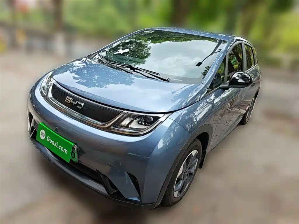 BYD Dolphin 2024 Glory Edition 420km Freedom Edition
