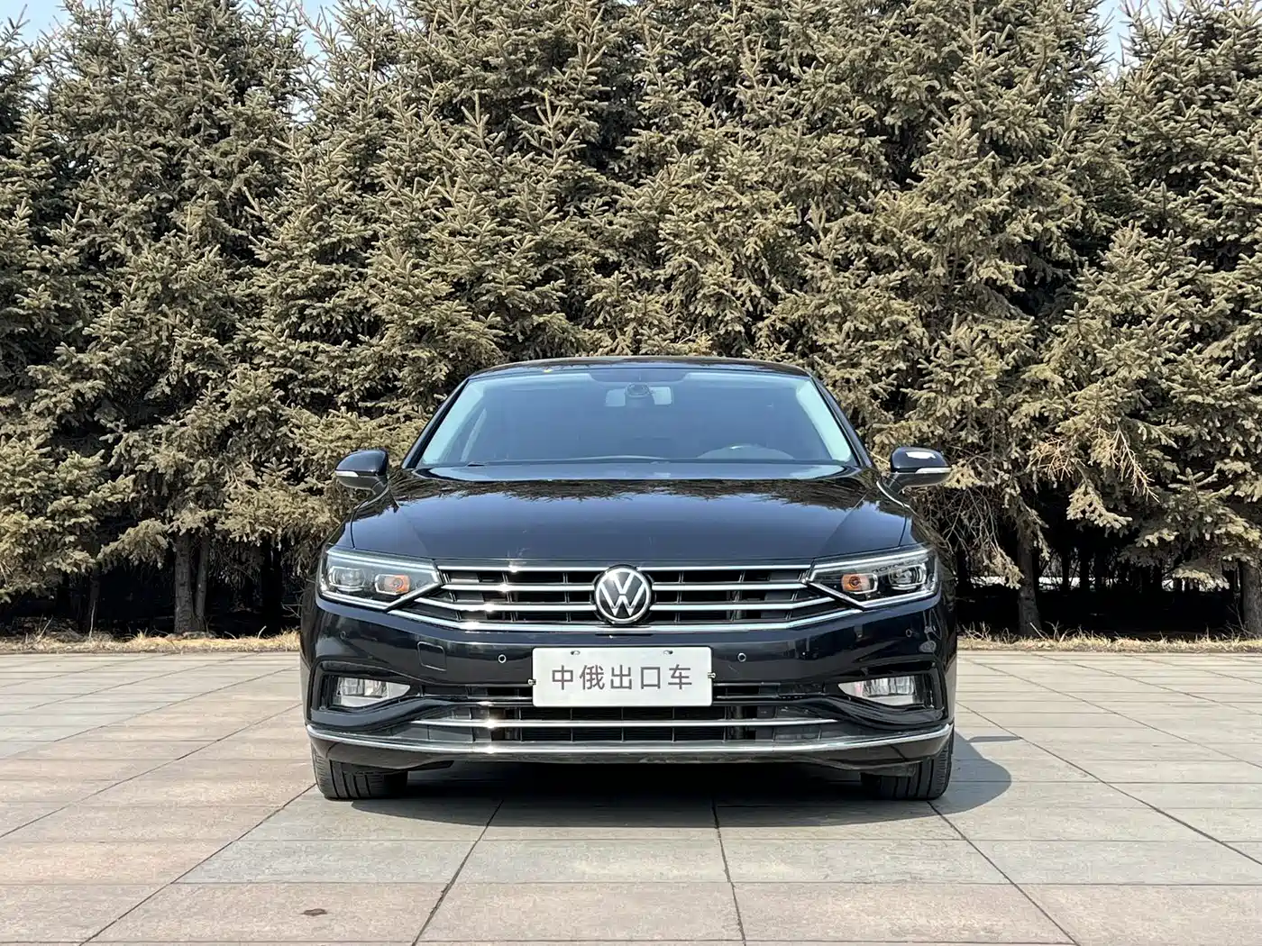 Volkswagen Magotan 2020 280TSI DSG Comfort фото 2