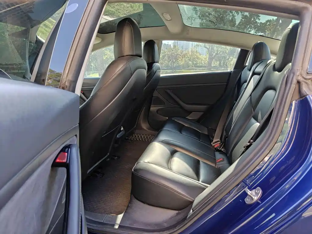 Tesla Model 3 2020 2020 Standard Range Rear-Wheel Drive Upgrade