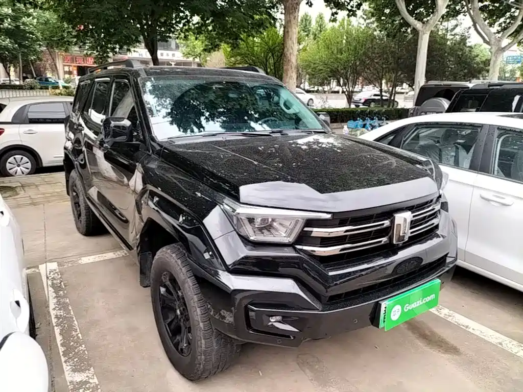 Tank 400 New Energy 2024 Hi4-T Off-Road Edition фото 4