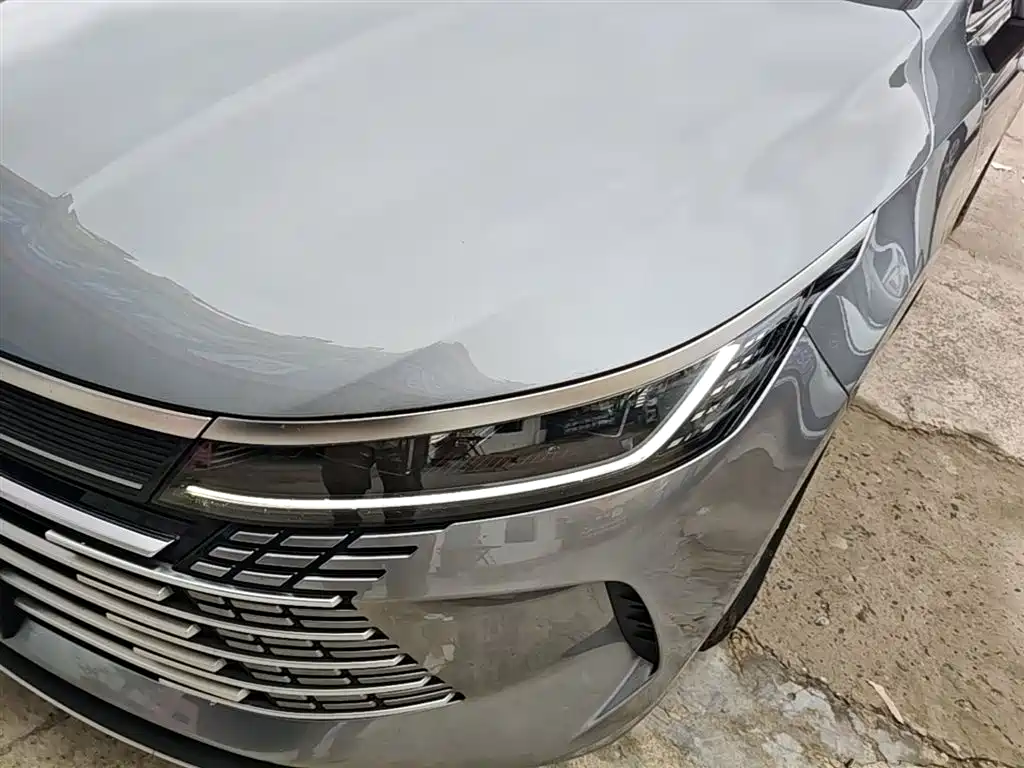 BYD Destroyer 05 2023 Champion Edition DM-i 55KM Luxury фото 24
