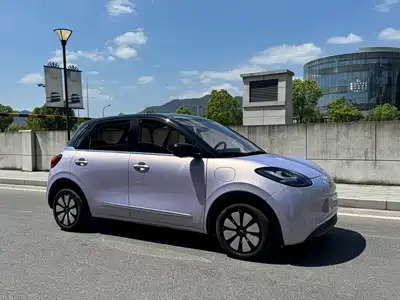 Wuling Bingo