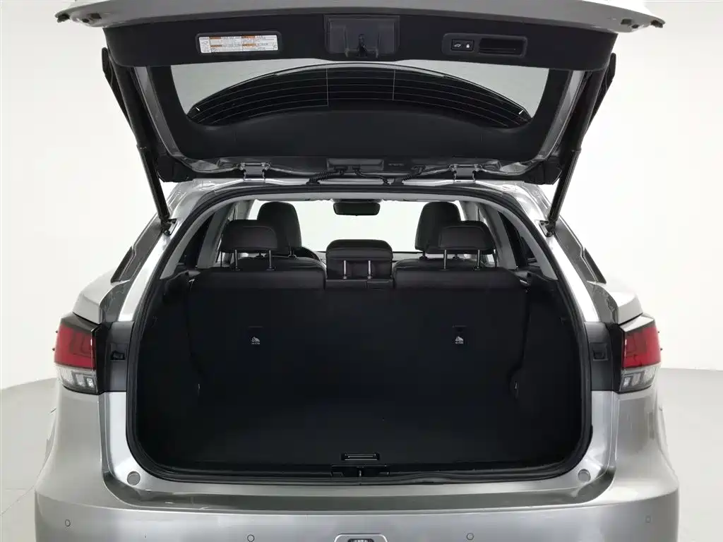 Lexus RX 2020 Facelift 300 AWD Elegance Edition фото 16