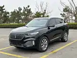 Фото 3 - WEY VV6
