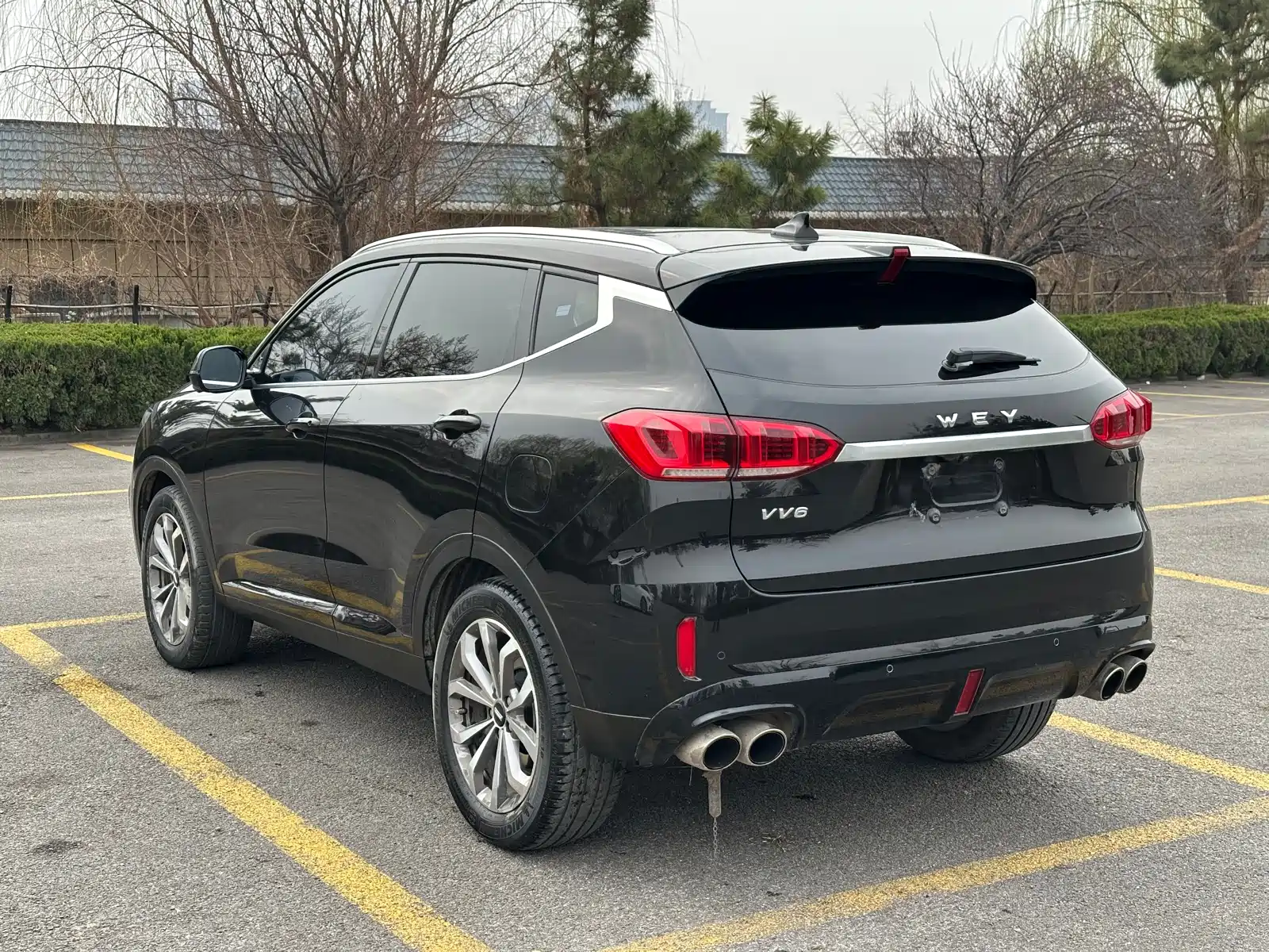 Фото 4 - WEY VV6